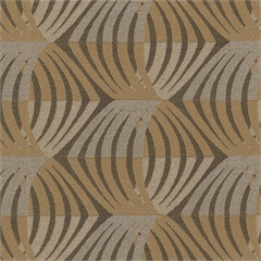 Warbler Caramel